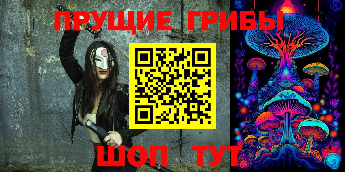 Менделеевск  Галлюциногенные грибы Psilocybe  Вход с VPN 